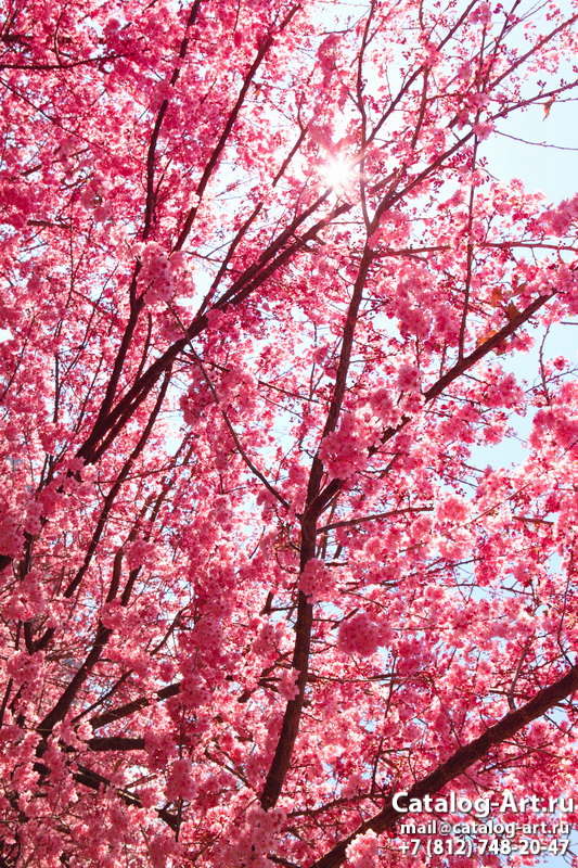 Blossom tree 14